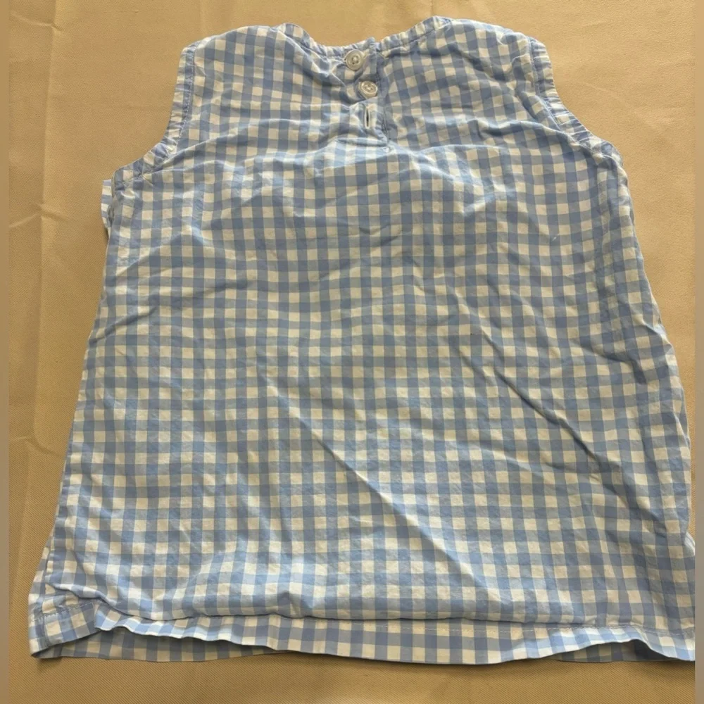 Gymboree Blue and‎ White Gingham Blouse with Ruffle and Daisies
